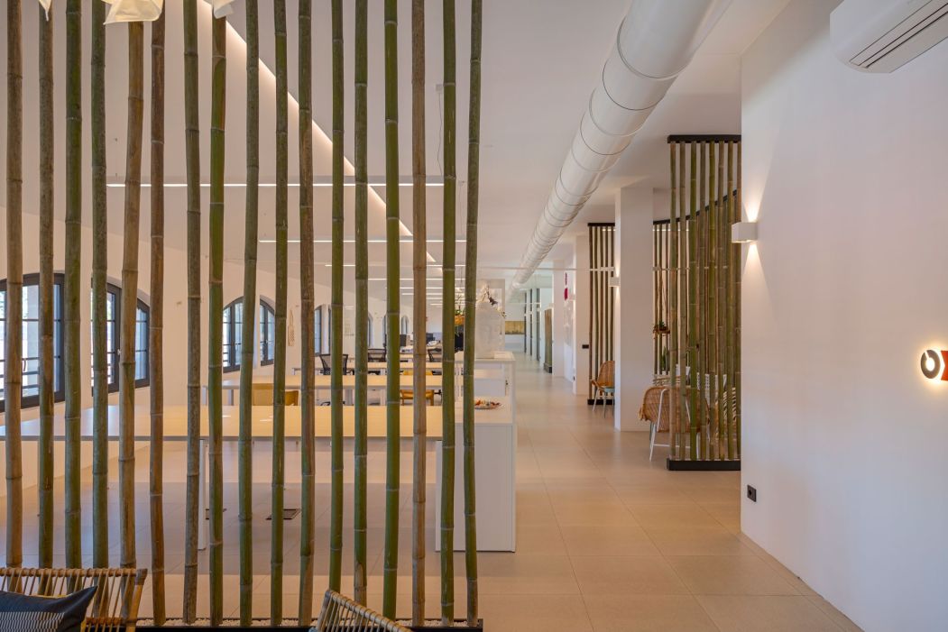 One_Off Solution Custom made office construction: bamboo canes partition wall